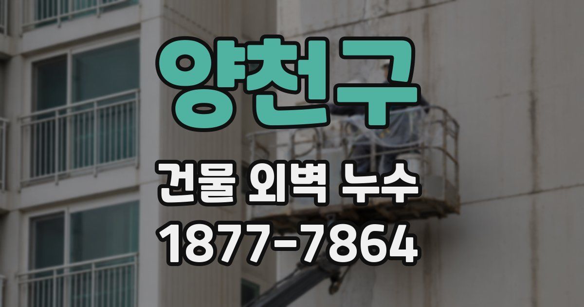 양천구 건물 외벽 누수