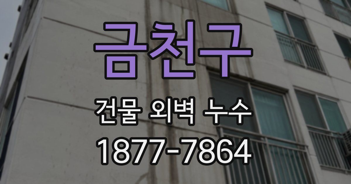 금천구 건물 외벽 누수