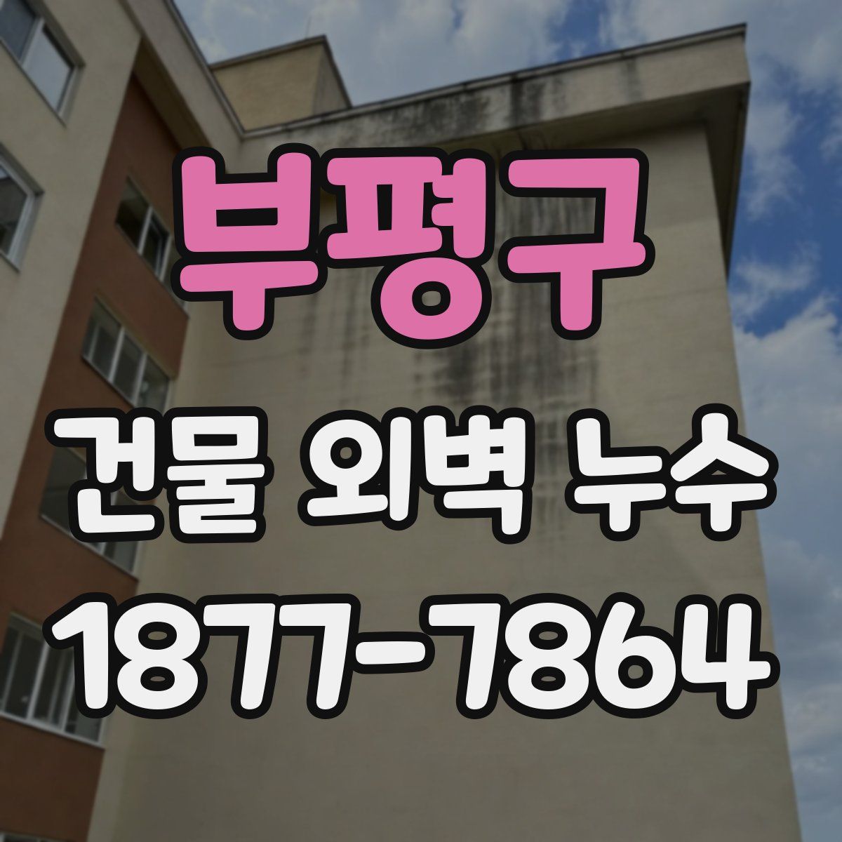 부평구 건물 외벽 누수
