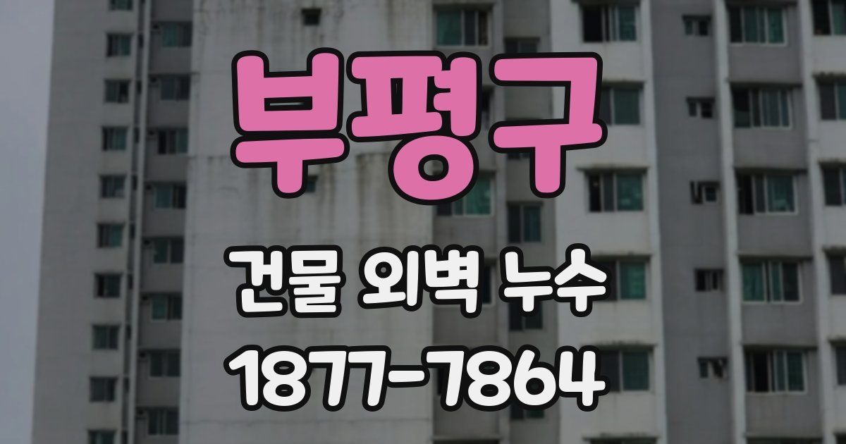 부평구 건물 외벽 누수