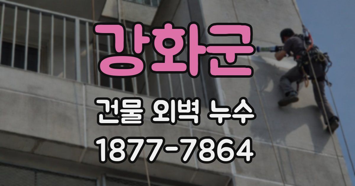 강화군 건물 외벽 누수