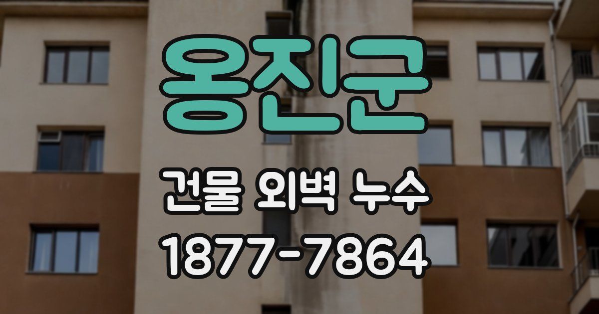 옹진군 건물 외벽 누수