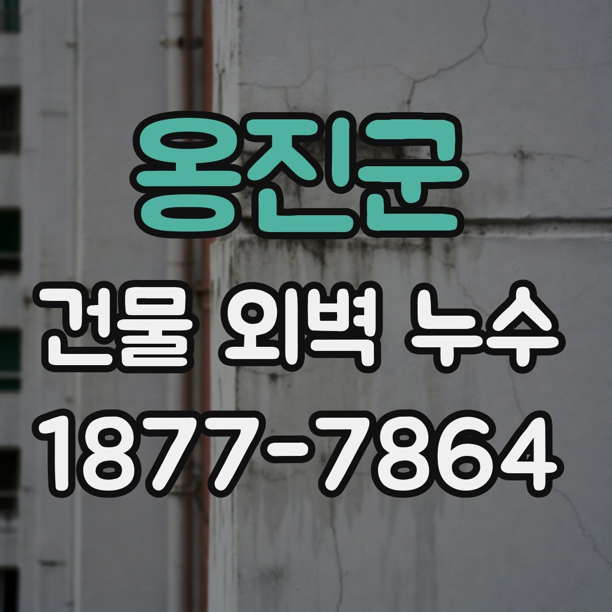 옹진군 건물 외벽 누수