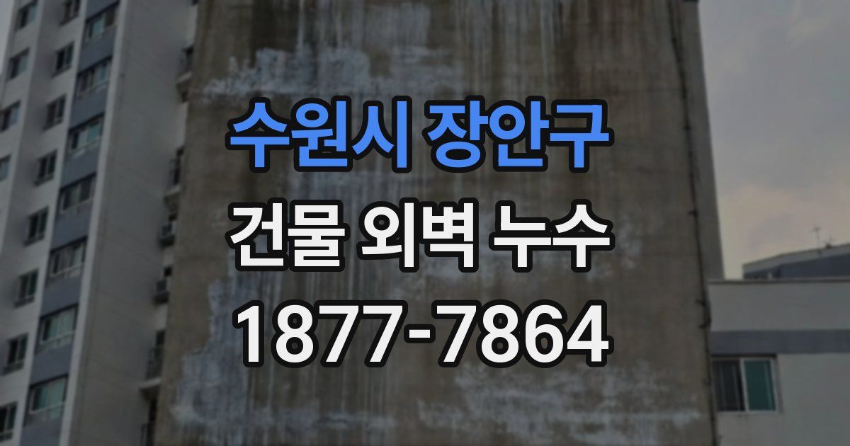 수원시 장안구 건물 외벽 누수