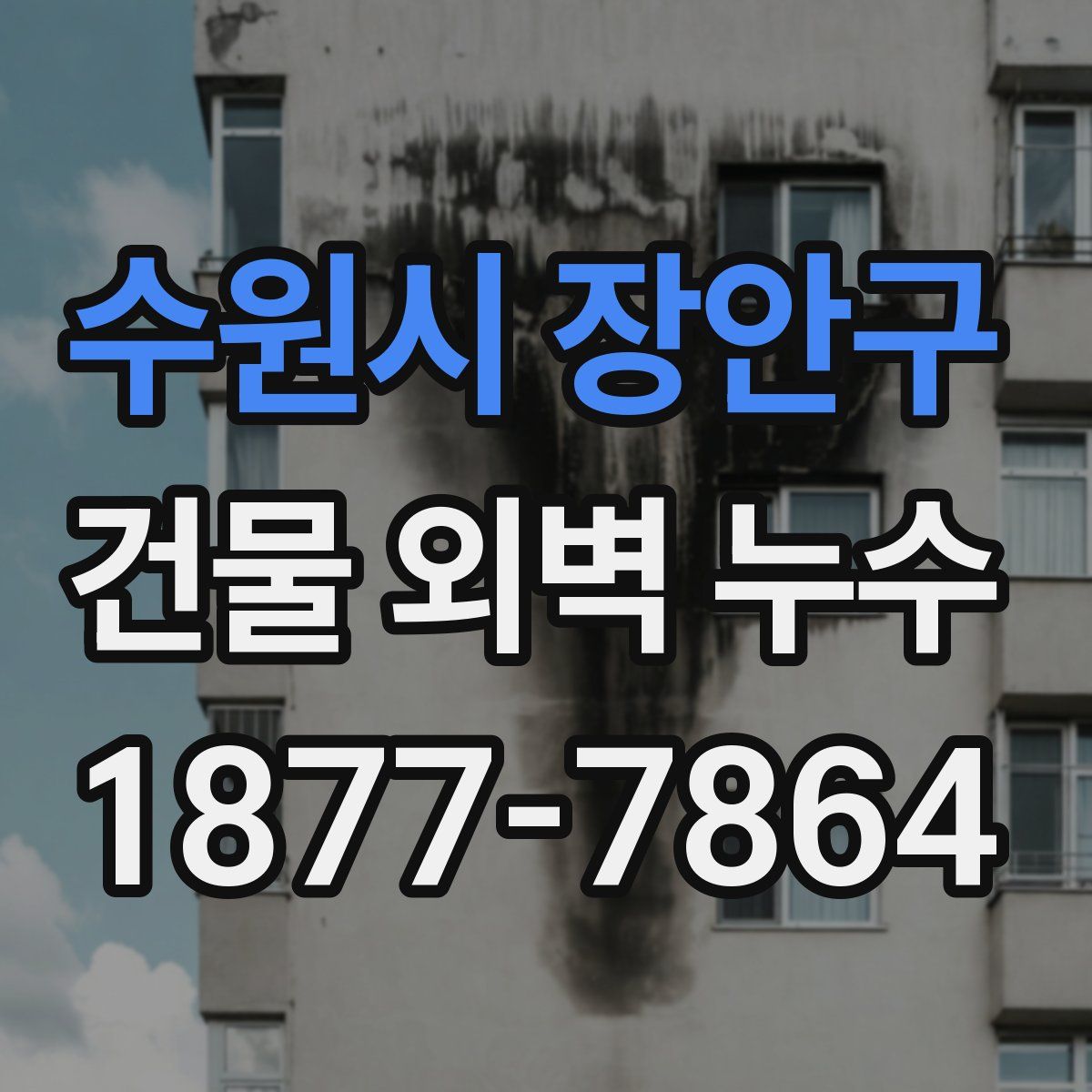 수원시 장안구 건물 외벽 누수