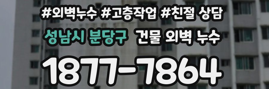 성남시 분당구 건물 외벽 누수