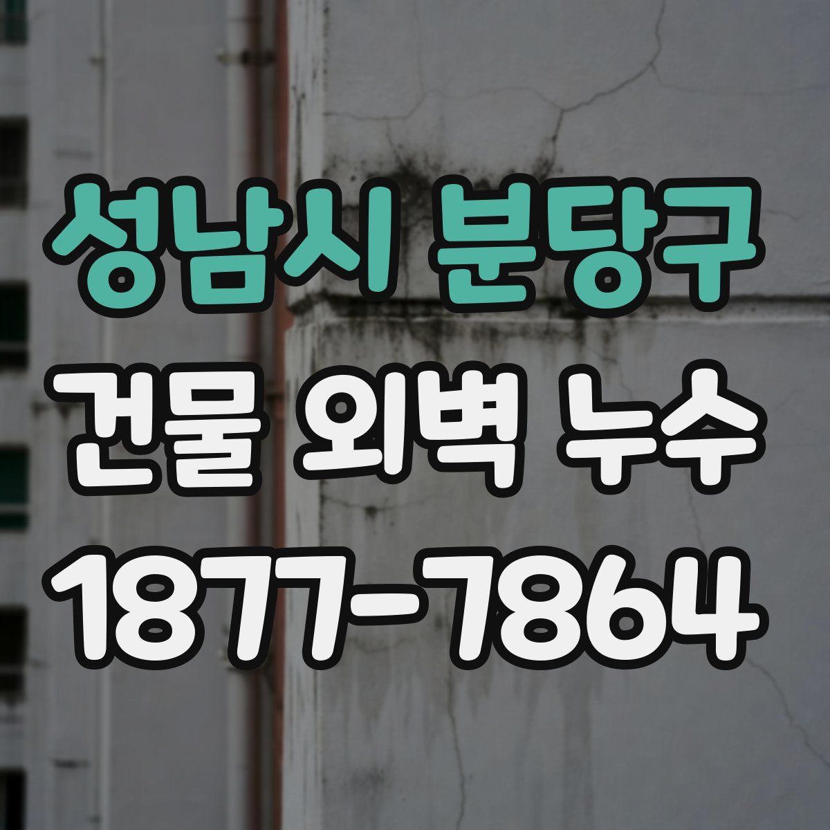 성남시 분당구 건물 외벽 누수