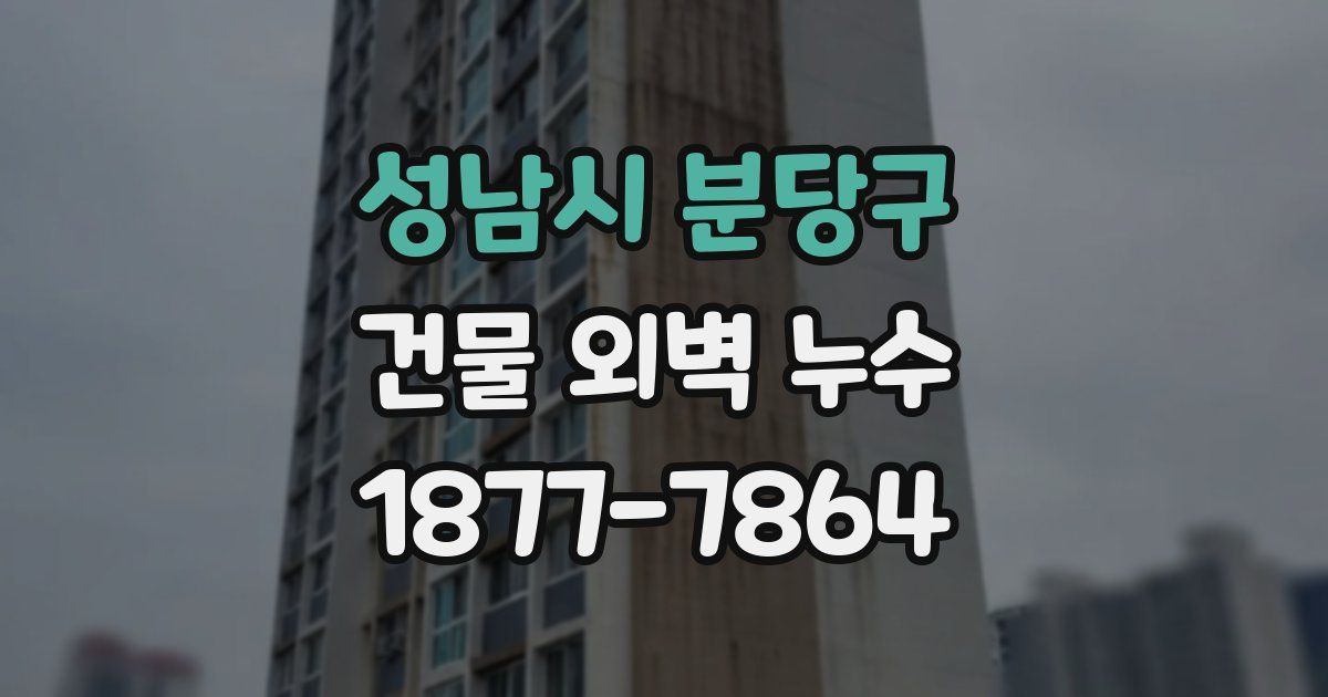 성남시 분당구 건물 외벽 누수