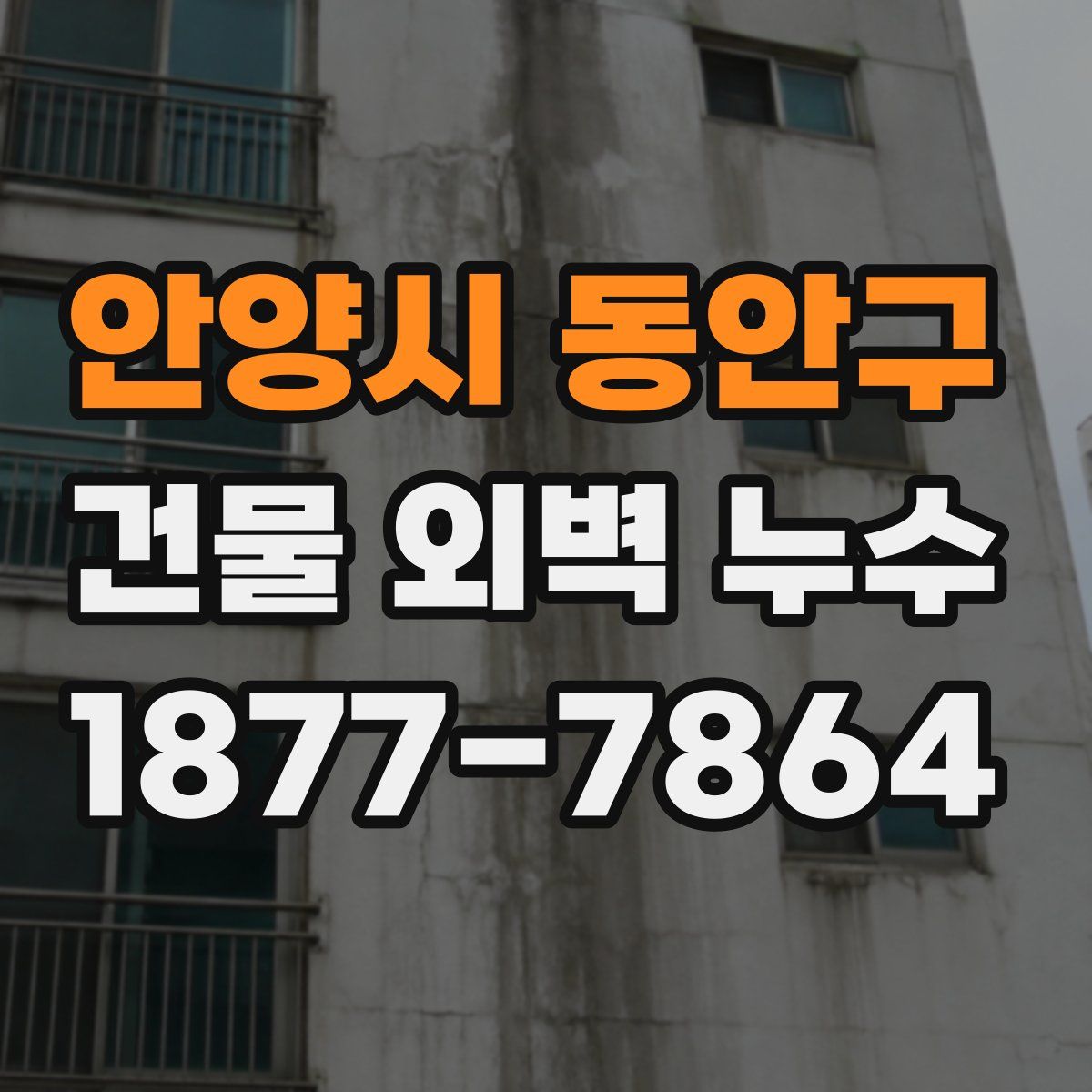 안양시 동안구 건물 외벽 누수