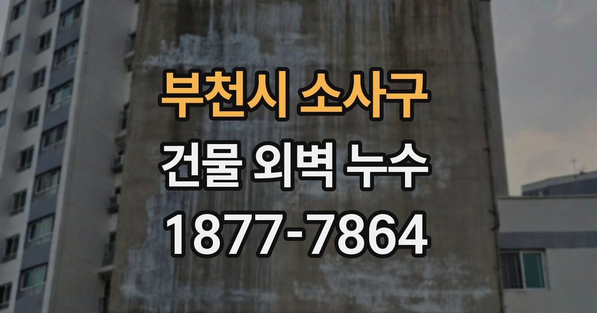 부천시 소사구 건물 외벽 누수