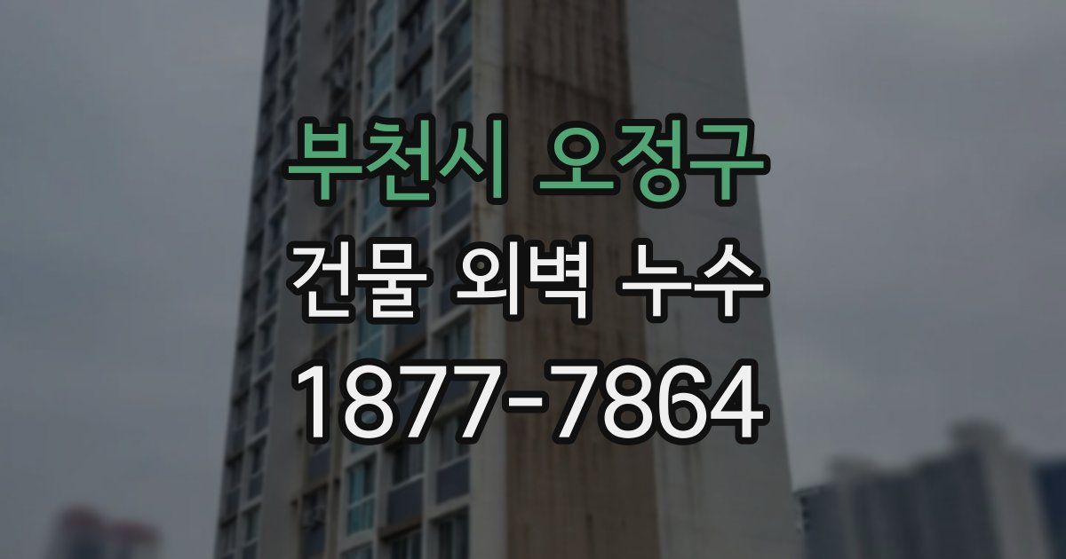 부천시 오정구 건물 외벽 누수