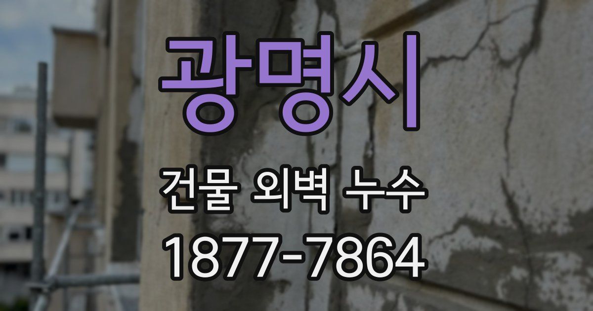 광명시 건물 외벽 누수