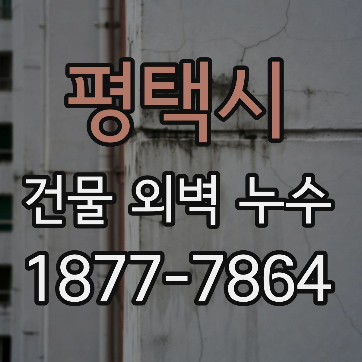 평택시 건물 외벽 누수