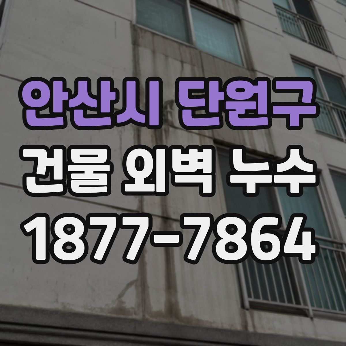 안산시 단원구 건물 외벽 누수