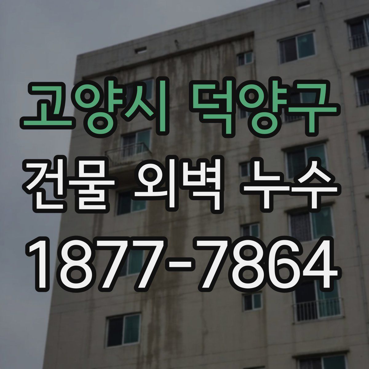 고양시 덕양구 건물 외벽 누수