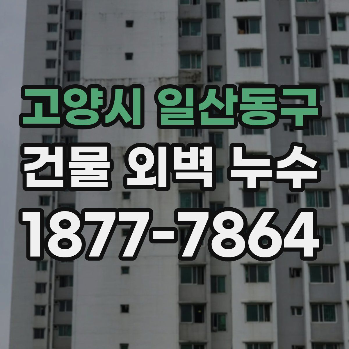 고양시 일산동구 건물 외벽 누수
