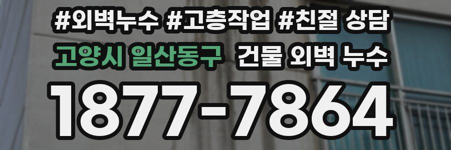 고양시 일산동구 건물 외벽 누수