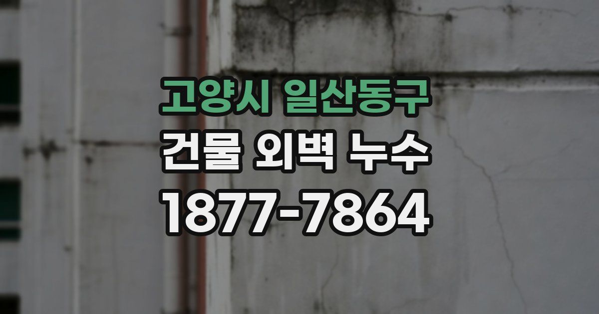 고양시 일산동구 건물 외벽 누수