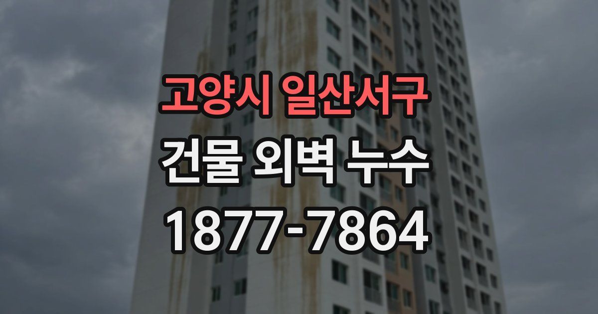 고양시 일산서구 건물 외벽 누수