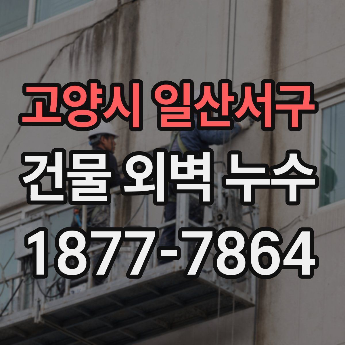 고양시 일산서구 건물 외벽 누수