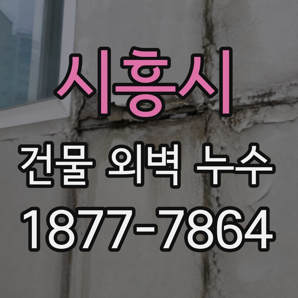 시흥시 건물 외벽 누수
