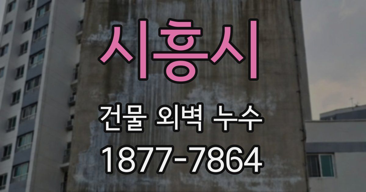 시흥시 건물 외벽 누수