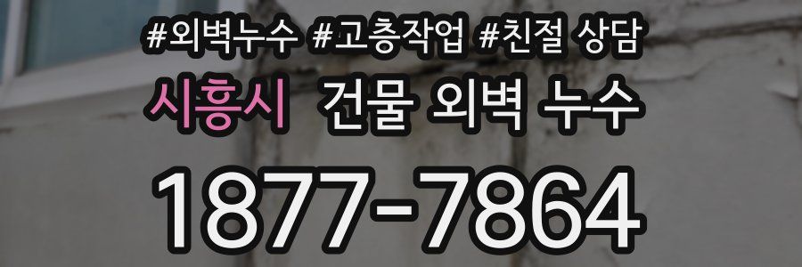 시흥시 건물 외벽 누수