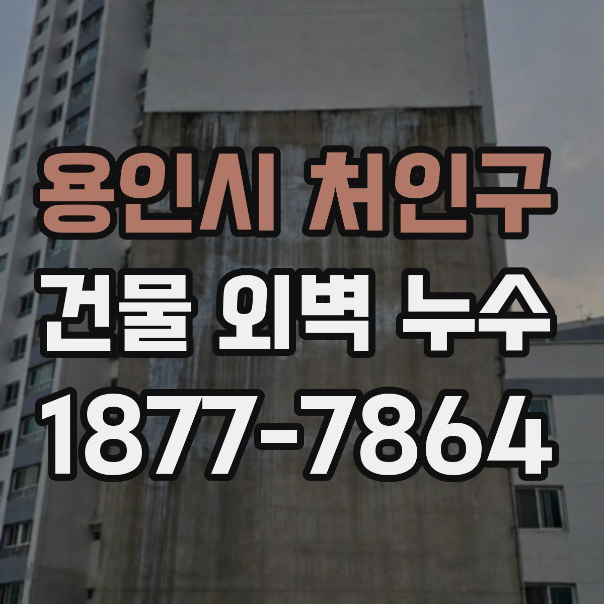 용인시 처인구 건물 외벽 누수