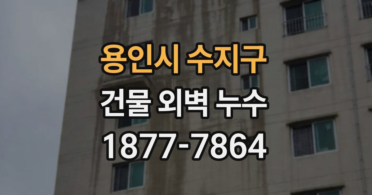 용인시 수지구 건물 외벽 누수