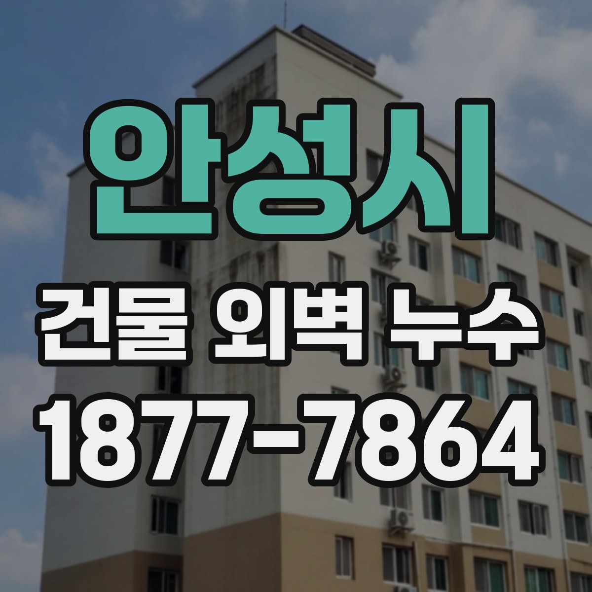 안성시 건물 외벽 누수