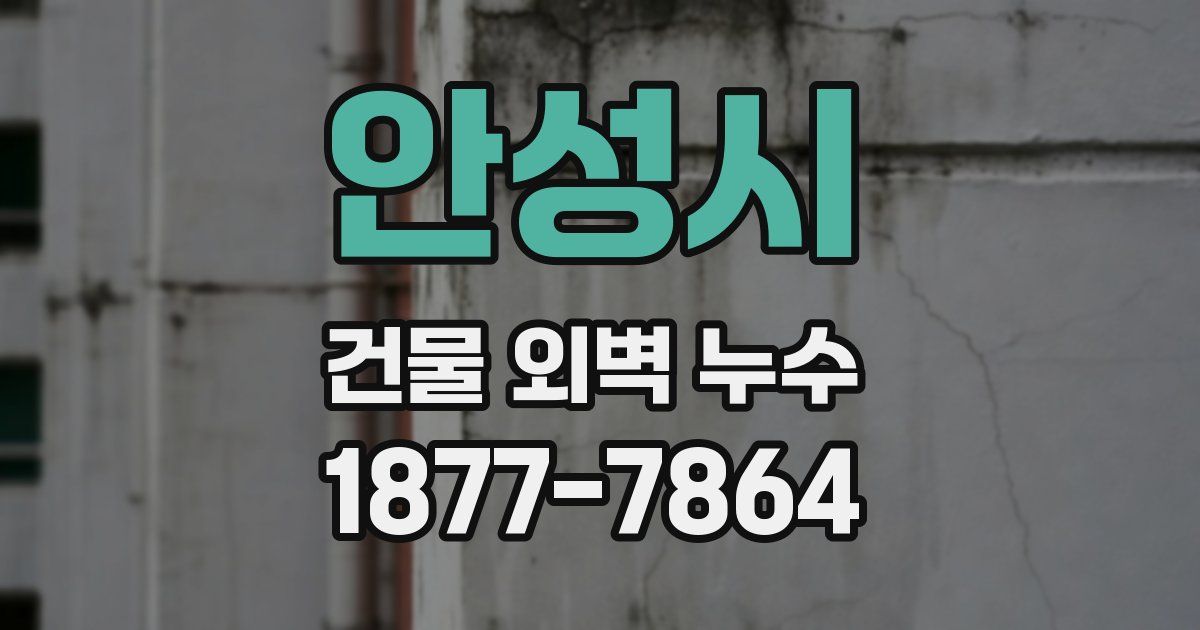 안성시 건물 외벽 누수