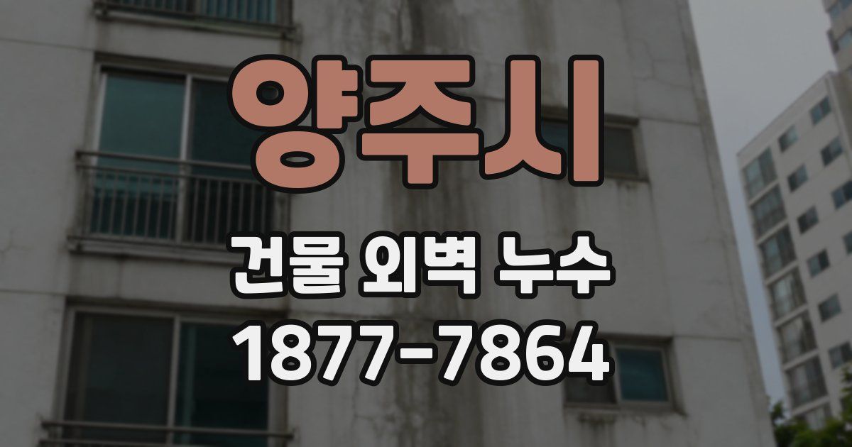 양주시 건물 외벽 누수