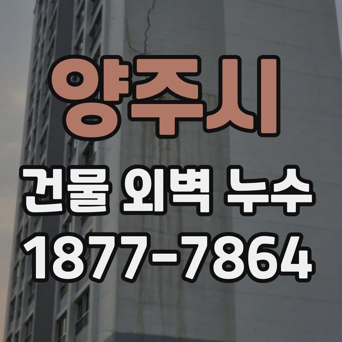 양주시 건물 외벽 누수