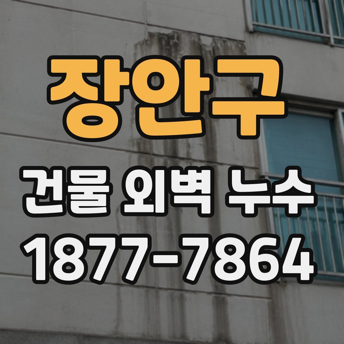 장안구 건물 외벽 누수