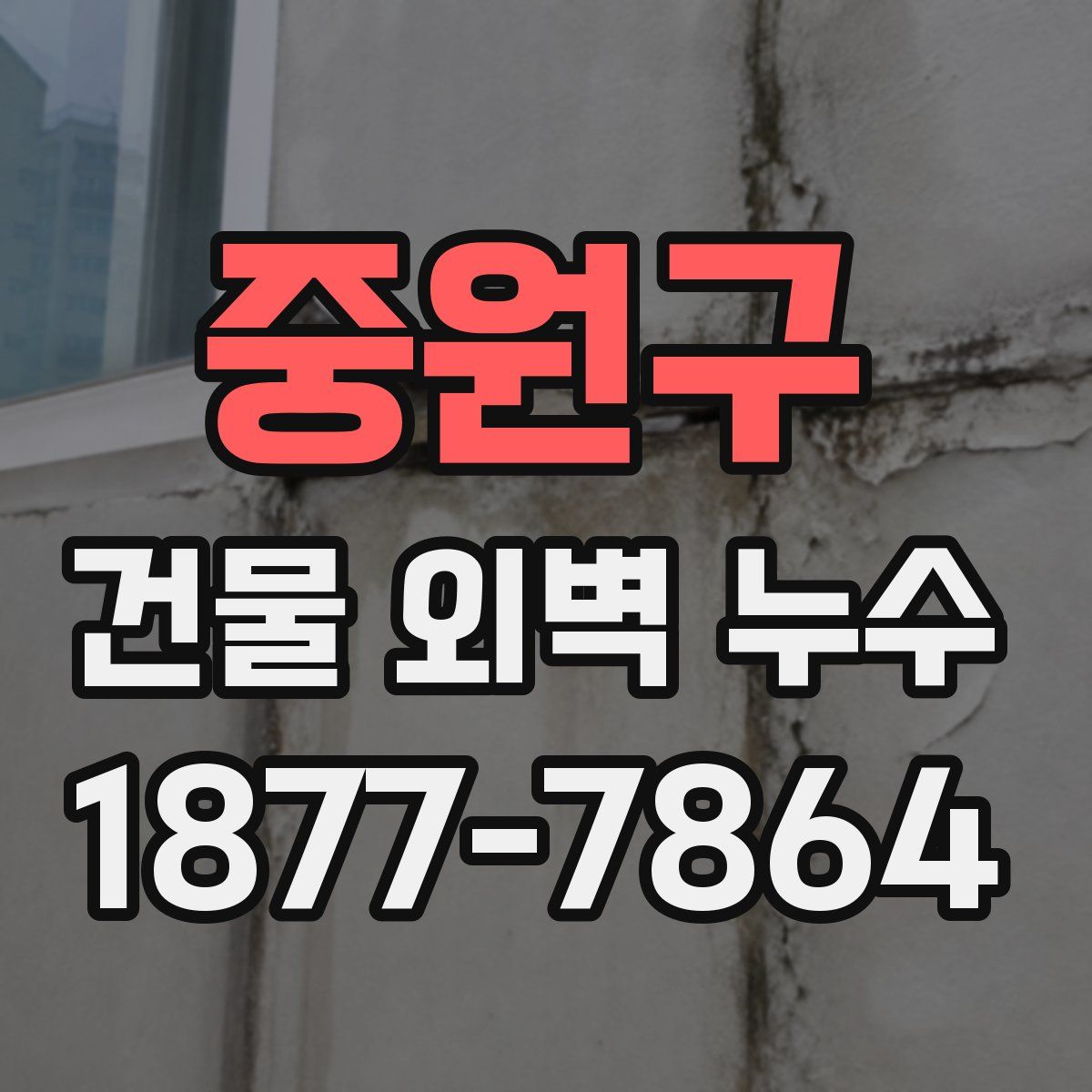 중원구 건물 외벽 누수