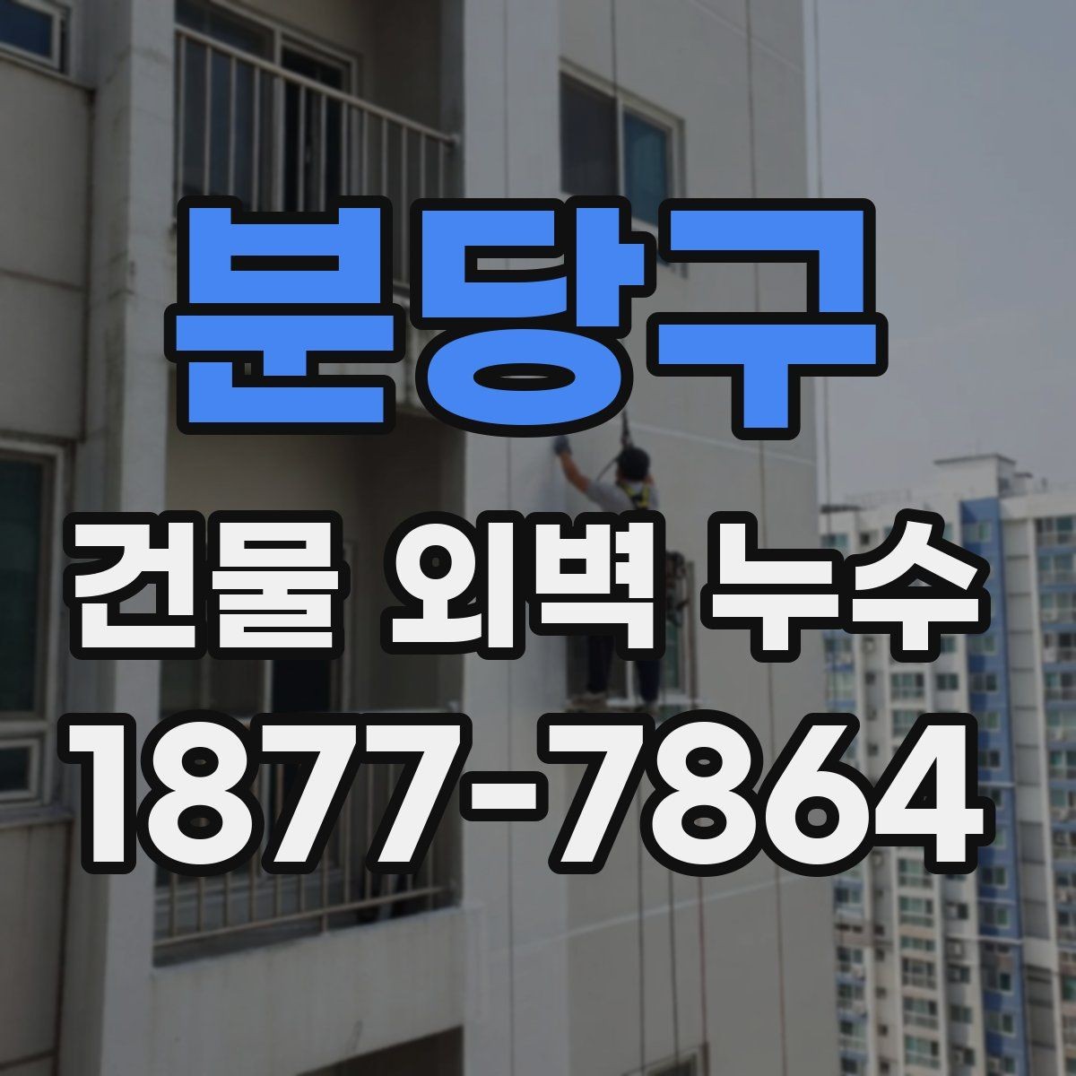 분당구 건물 외벽 누수 점검 시 자주 놓치는 부분