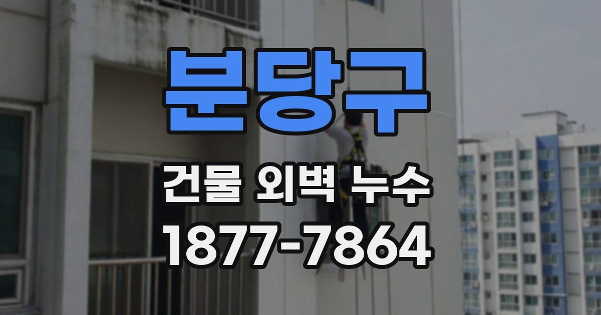 분당구 건물 외벽 누수