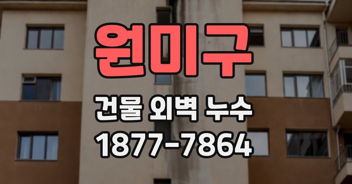 원미구 건물 외벽 누수