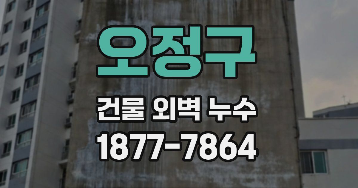 오정구 건물 외벽 누수