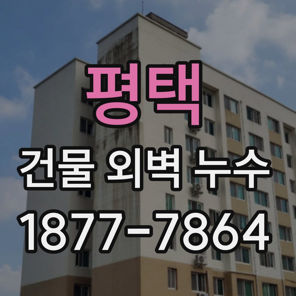 평택 건물 외벽 누수