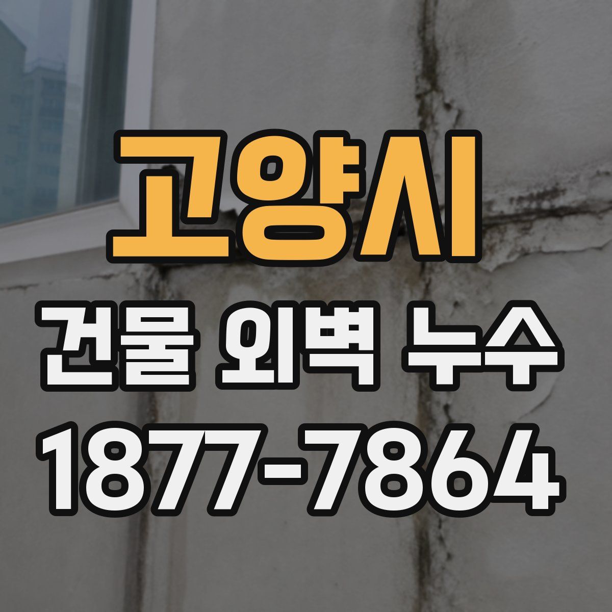 고양시 건물 외벽 누수