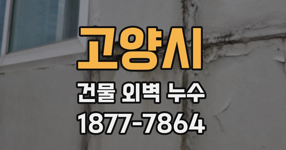 고양시 건물 외벽 누수