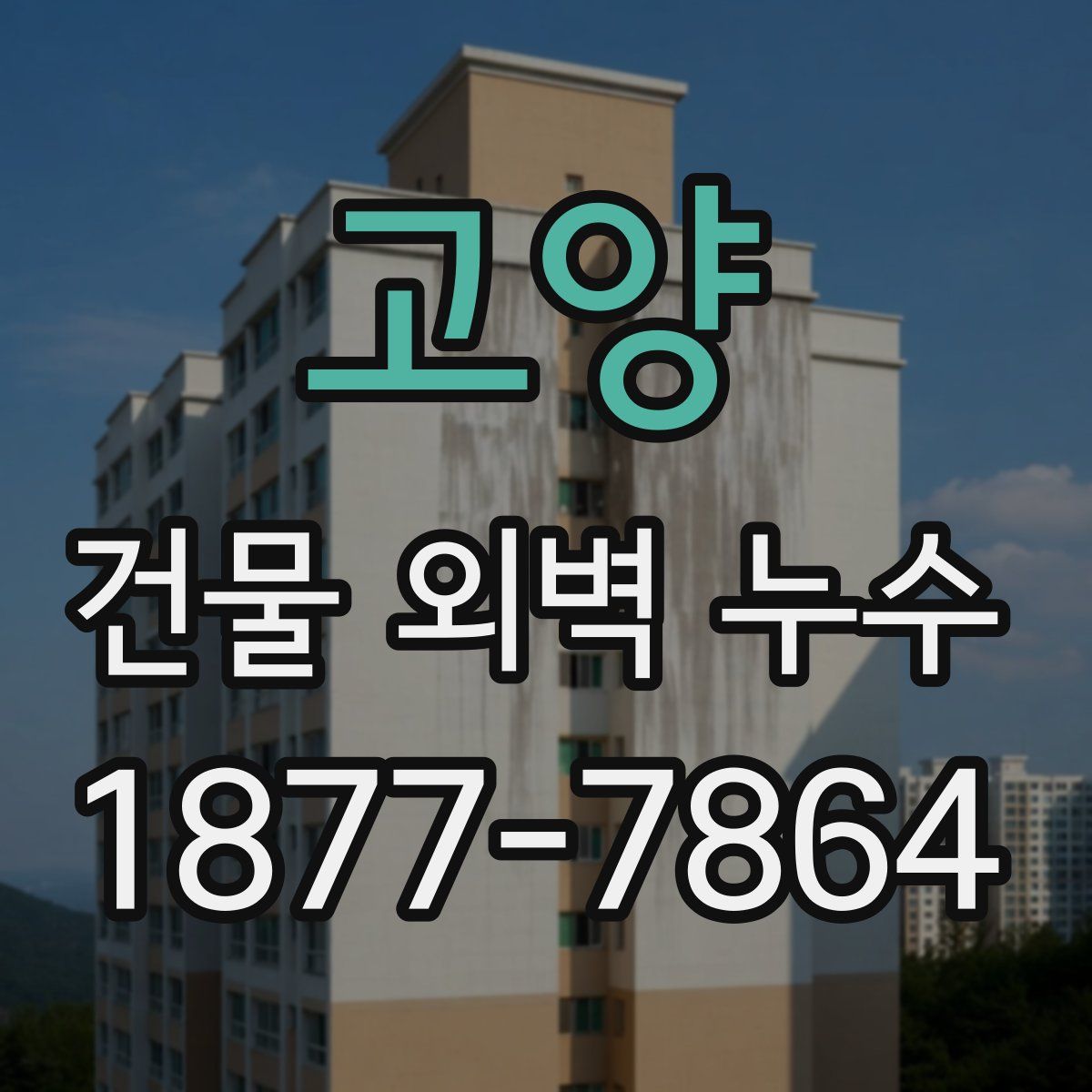 고양 건물 외벽 누수