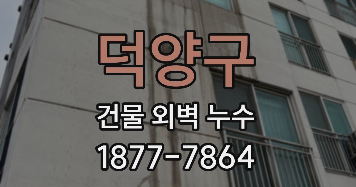 덕양구 건물 외벽 누수