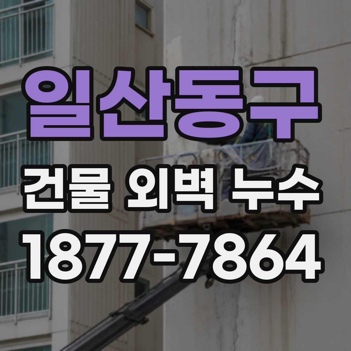 일산동구 건물 외벽 누수