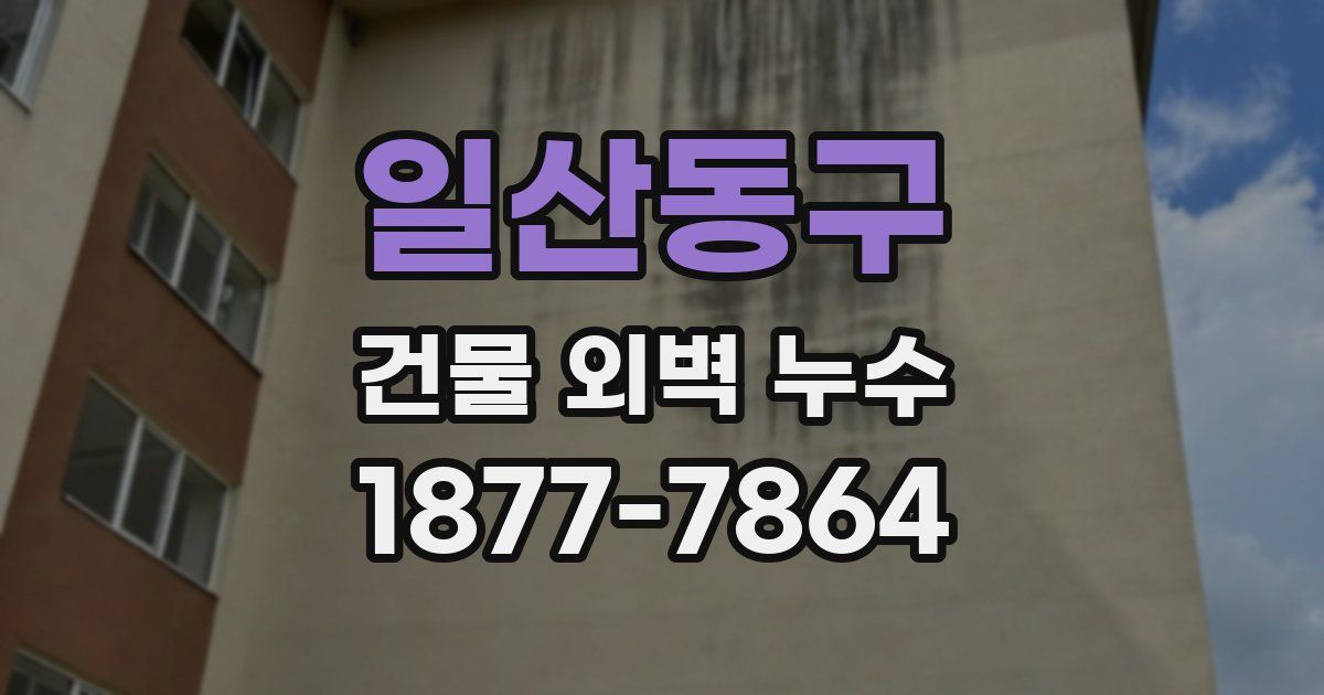 일산동구 건물 외벽 누수