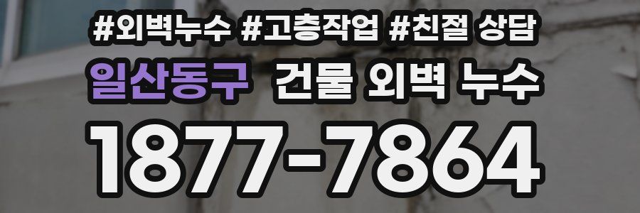일산동구 건물 외벽 누수