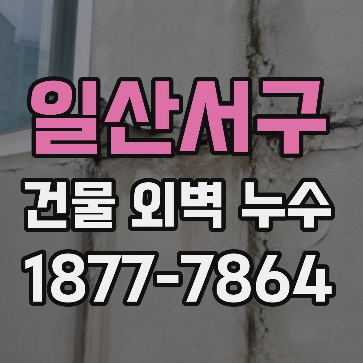 일산서구 건물 외벽 누수