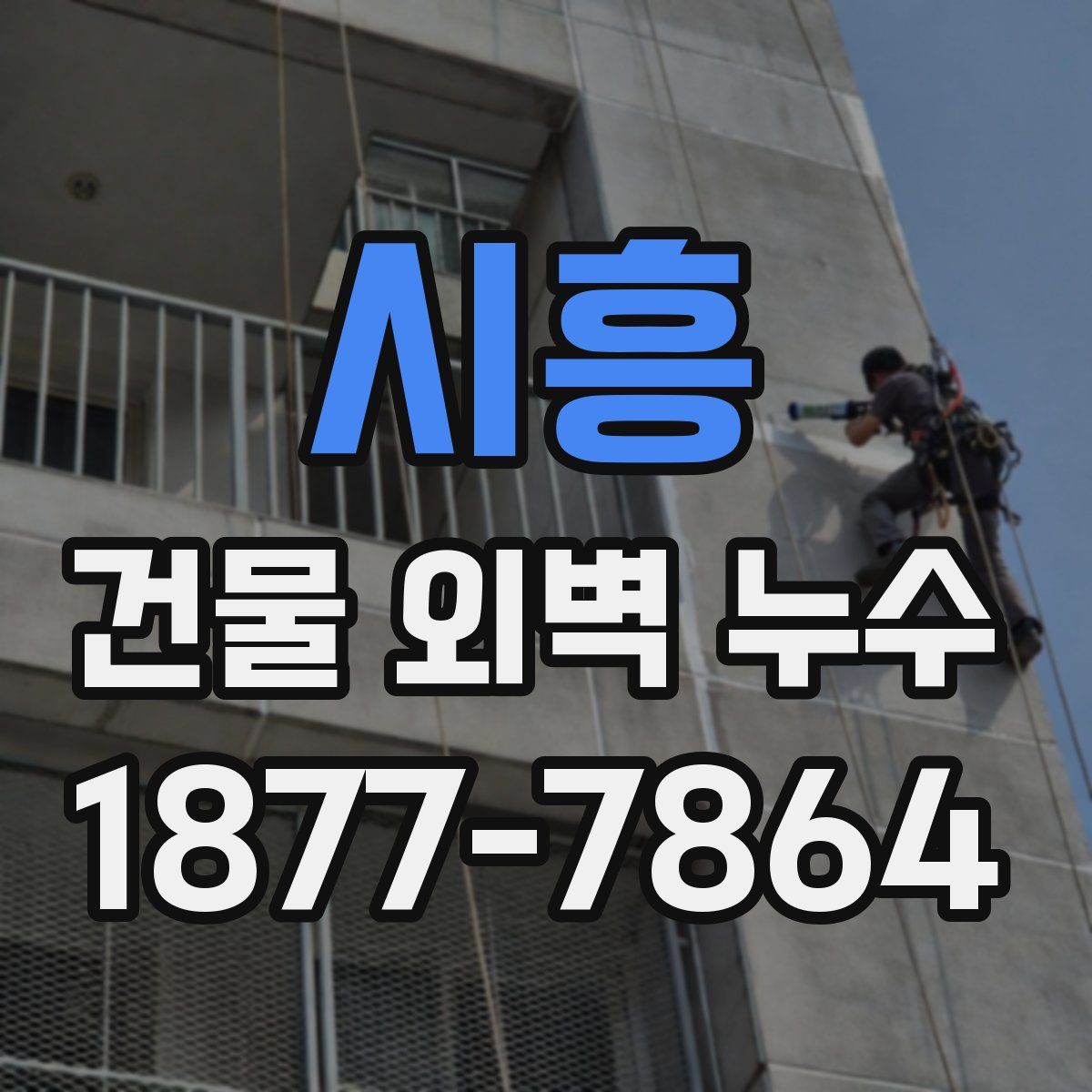 시흥 건물 외벽 누수