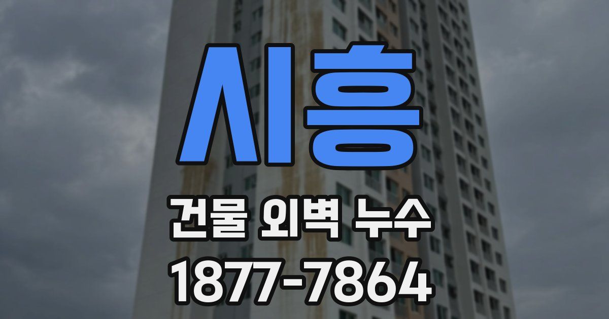 시흥 건물 외벽 누수